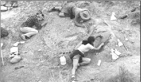 Paleontologists 的图像结果