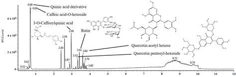Eucommia ulmoides Leaves Alleviate Cognitive Dysfunction in Dextran ...