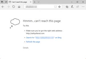 [已修复] 我们无法在 Microsoft Edge 中访问此页面问题-表盘吧