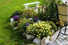 fiori perenni per aiuole aiuole con sassi e piante perenni fiori perenni per aiuole aiuole con sassi e piante perenni