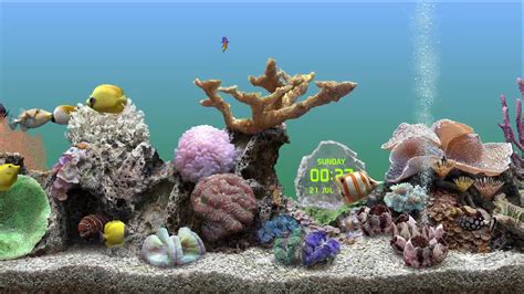 推荐一款多年前的3D热带鱼水族箱屏幕保护程序 卡农_哔哩哔哩_bilibili