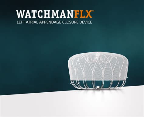 Image result for Optech Laser Watchman