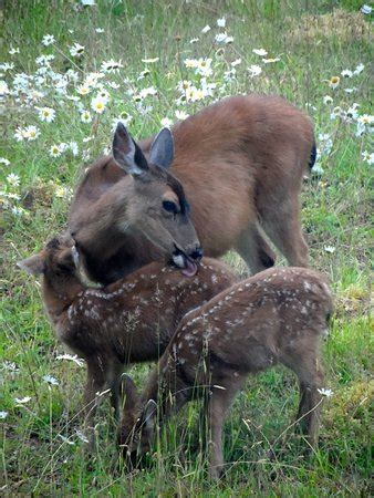 Shelter Point Regional Park & Campground (Gillies Bay) - 2020 What to ...