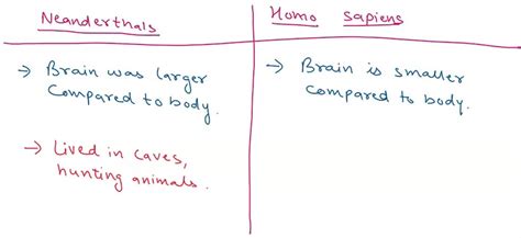 Anatomically Modern Humans 的图像结果