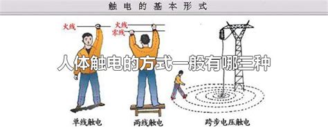 判断句的几种形式及例句(判断句的几种形式并举例)-参考网