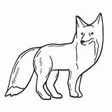 Contour image of a fox. Black silhouette of an animal. Doodle icon of a ...