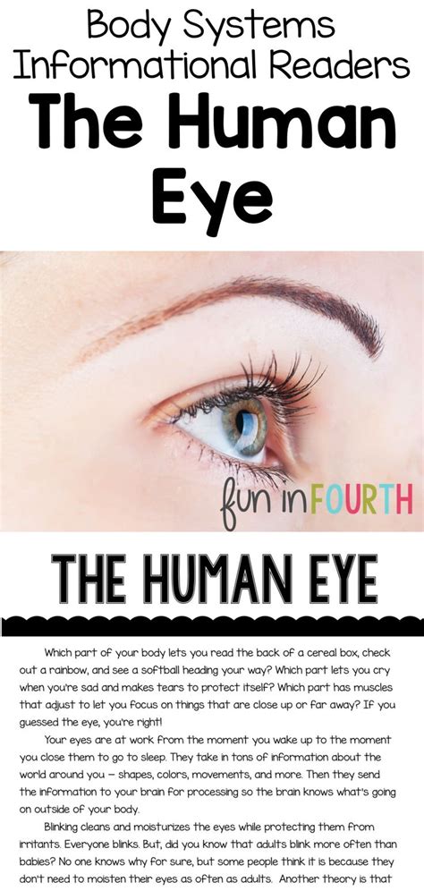 Image result for Science Eye Projects Tutorial