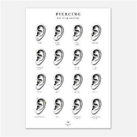 Image result for Piercing Guide Plate