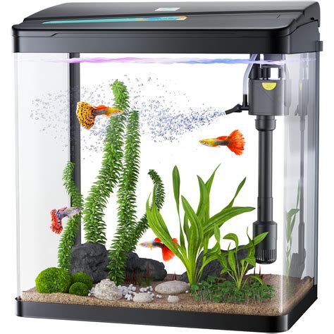 Buy PONDON Fish Tank, 3 Gallon Glass Aquarium, 3 in 1 Fish Tank with ...