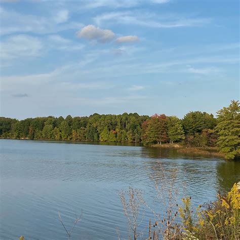 WALBORN RESERVOIR (2026) All You Need to Know BEFORE You Go (with ...