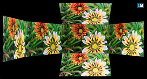 HP ZBook Firefly 16 G9 review - great build quality but disappointing ...