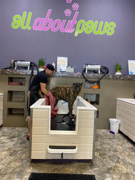 All About Paws (@allaboutpawsvegas) • Instagram photos and videos