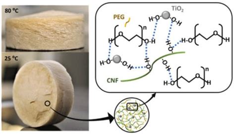 Bio-Based Polymers for Environmentally Friendly Phase Change Materials