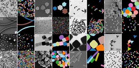 EMPS - Dataset Ninja