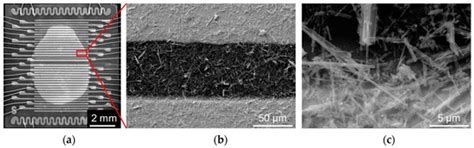 Nanomaterials | December 2017 - Browse Articles