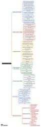 Corporate Distributions Mind Map - CPA (US) REG-Taxation and Regulation