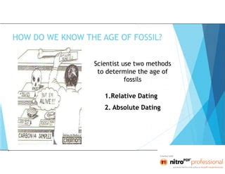 Fossil Dating Methods 的图像结果