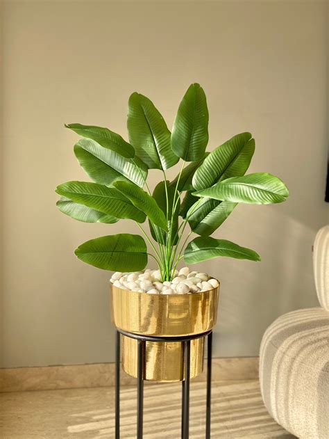 Plants & Planters – Mason Home by Amarsons - Lifestyle & Decor