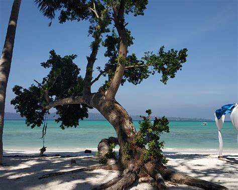 PELLICON BEACH RESORT (Havelock Island, Andaman and Nicobar Islands ...