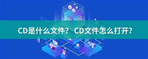 CD File 的图像结果