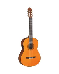 Yamaha Classical Guitar Instrument Online Store in India
