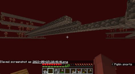 Zombie piglins not spawning on one of three platforms, can't figure out why :( : r/Minecraft