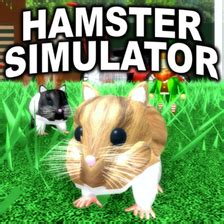 Java Hamster Simulator 的图像结果