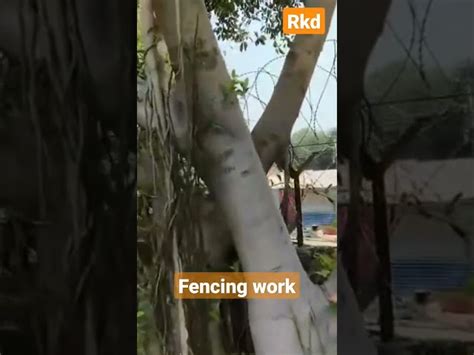 Concertina Coil - Concertina Razor Coils Trader - Wholesaler ...