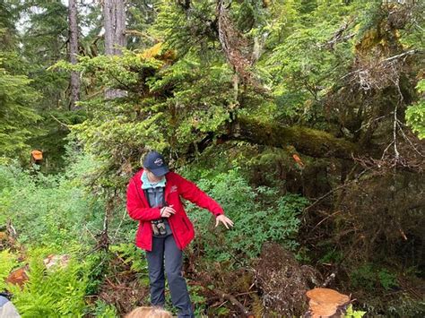 Icy Strait Birding Tours (Hoonah) - All You Need to Know BEFORE You Go