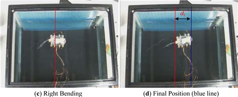 A Novel Soft Biomimetic Microrobot with Two Motion Attitudes