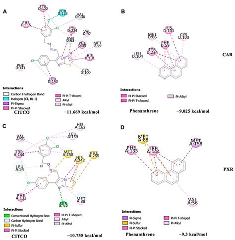 Hibiscus sabdariffa Extract Protects HaCaT Cells against Phenanthrene ...