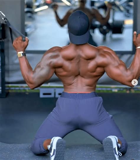 Image result for Different Back Workouts