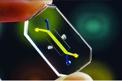 Future Computer Greenscreen 的图像结果