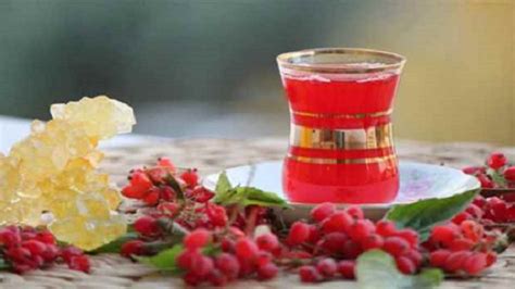 Чай с барбарисом — применение, рецепт, полезные свойства, как заварить