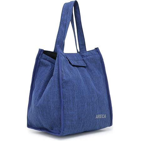 Buy ARECA Insulated Lunch/Tiffin Bag for Office Men, Women and Kids ...