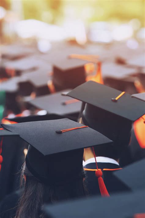 Bachelor of Science Honours Computer Science 的图像结果