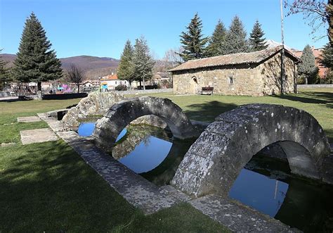 El cuarto parque micológico de Castilla y León está en Palencia | El ...