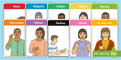 New Zealand Sign Language Useful Signs Display Posters (Te Reo Māori)