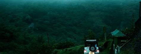 South Indian Wildlife Tours: Munnars Exotic Biodiversity with Pikme ...