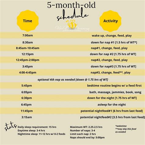 NEW & IMPROVED! UPDATED 2022! Sample Schedules for the First Year and Beyond — Wee Bee Dreaming ...