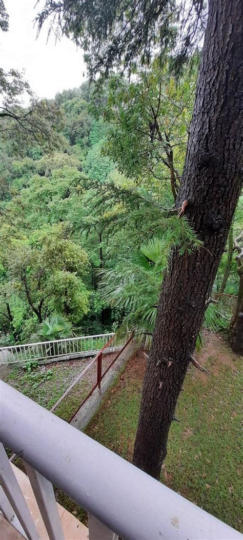 THE MOUNTAIN QUAIL HOTEL & RESORT (Mussoorie) - Hotel Reviews, Photos ...