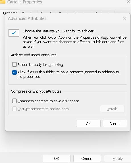 Image result for Windows 11 Pro Encryption
