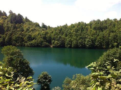 ULUGOL TABIAT PARKI (2025) All You Need to Know BEFORE You Go (with ...