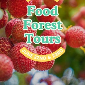 Food Forest Tours & Summer Plant Sale, 6405 Thornhill Rd, Winter Haven ...