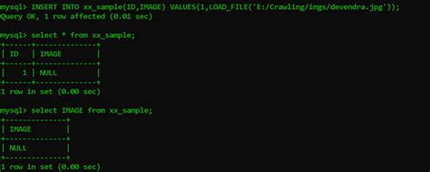 Image result for Upload Image to MySQL Database