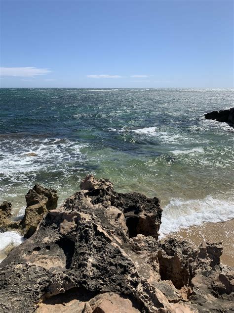 New Reference Photos: Perth Beaches and Gardens - Draw Paint Academy