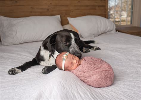 View Newborn — Lp Photography | Maternity, Newborn and Milestone ...