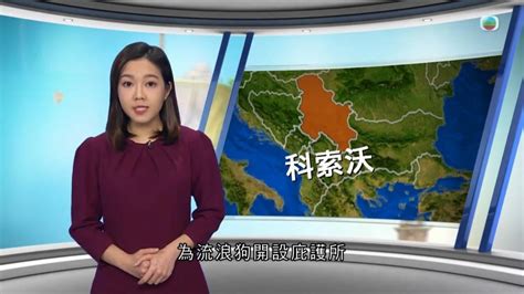 Local News Channel 的图像结果