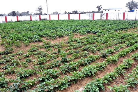 PRABHAT JYOTIRMOYEE : COLLEGE OF EDUCATION