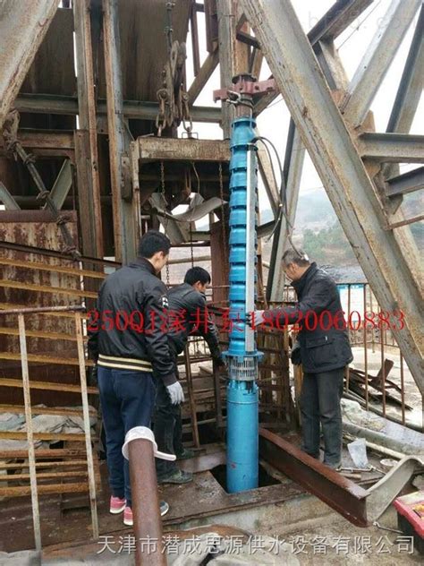 雨水回收轴流潜水泵(QHB)_天津奥特泵业有限责任公司_新能源网